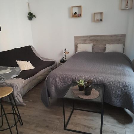 Studio Cosy Proche Centre Mpl/ Pk Gratuit Монпелие Екстериор снимка