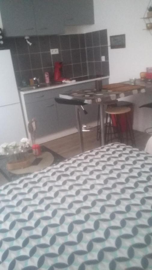 Studio Cosy Proche Centre Mpl/ Pk Gratuit Монпелие Екстериор снимка