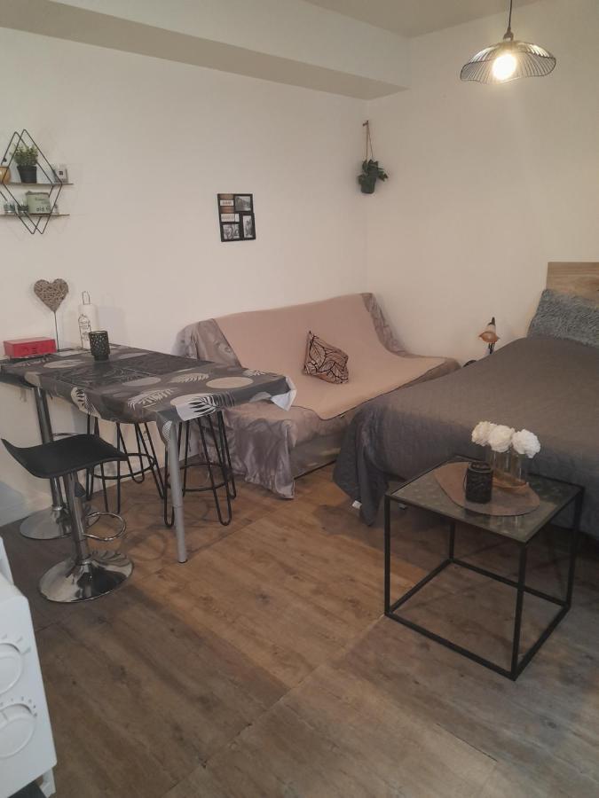 Studio Cosy Proche Centre Mpl/ Pk Gratuit Монпелие Екстериор снимка